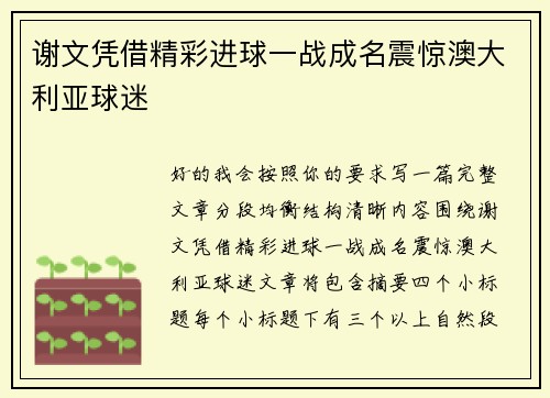 谢文凭借精彩进球一战成名震惊澳大利亚球迷 谢文凭借精彩进球一战成名震惊澳大利亚球迷